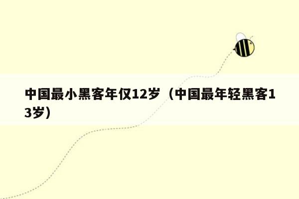 中国最小黑客年仅12岁（中国最年轻黑客13岁）