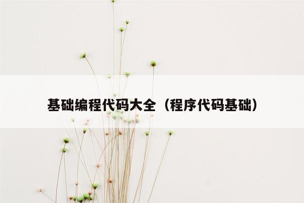 基础编程代码大全（程序代码基础）