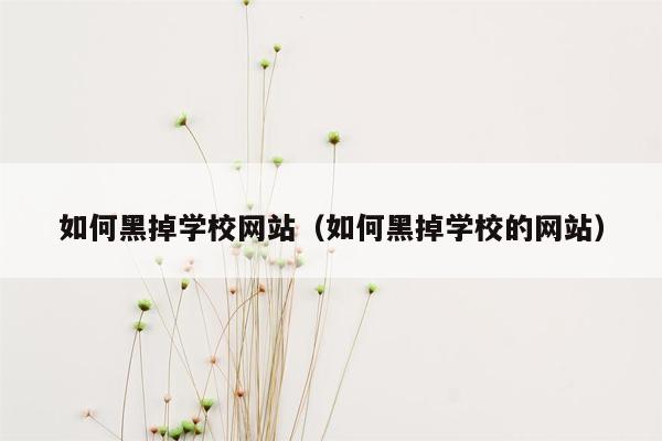 如何黑掉学校网站（如何黑掉学校的网站）