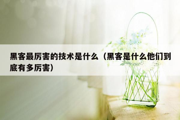 黑客最厉害的技术是什么（黑客是什么他们到底有多厉害）