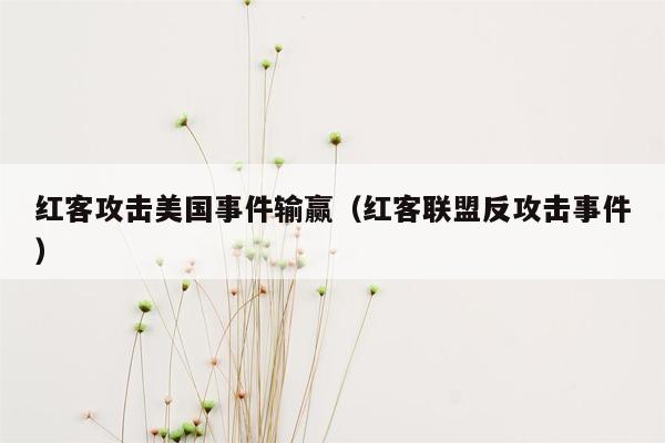 红客攻击美国事件输赢（红客联盟反攻击事件）