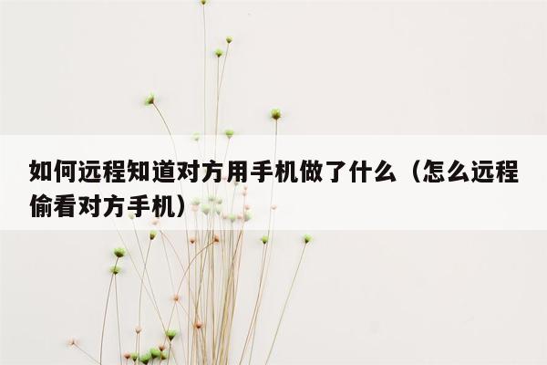 如何远程知道对方用手机做了什么（怎么远程偷看对方手机）