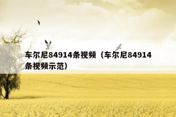 车尔尼84914条视频（车尔尼84914条视频示范）