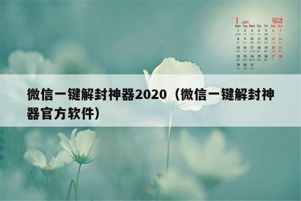 微信一键解封神器2020（微信一键解封神器官方软件）