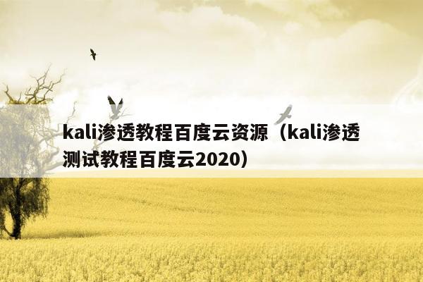 kali渗透教程百度云资源（kali渗透测试教程百度云2020）