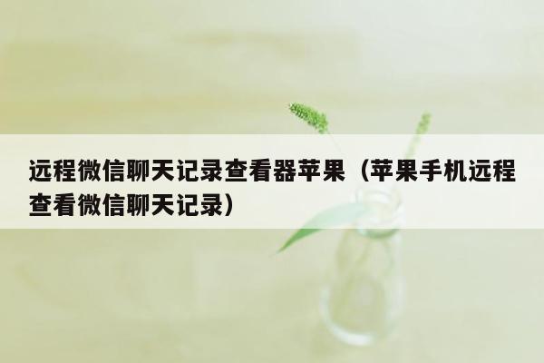 远程微信聊天记录查看器苹果（苹果手机远程查看微信聊天记录）