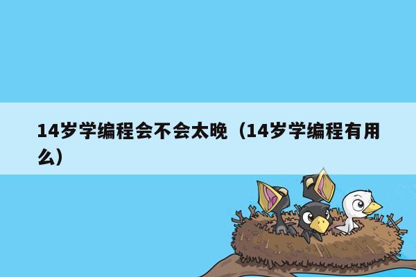 14岁学编程会不会太晚（14岁学编程有用么）