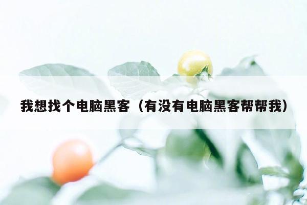 我想找个电脑黑客（有没有电脑黑客帮帮我）