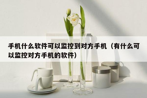 手机什么软件可以监控到对方手机（有什么可以监控对方手机的软件）