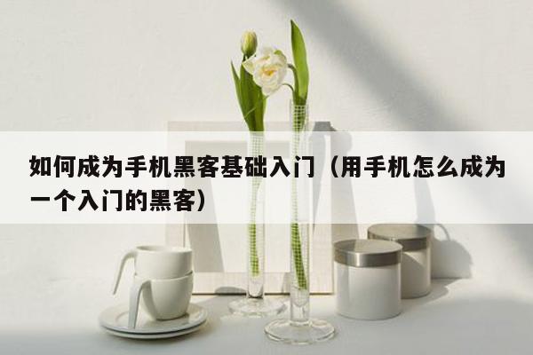 如何成为手机黑客基础入门（用手机怎么成为一个入门的黑客）