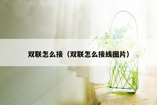 双联怎么接（双联怎么接线图片）