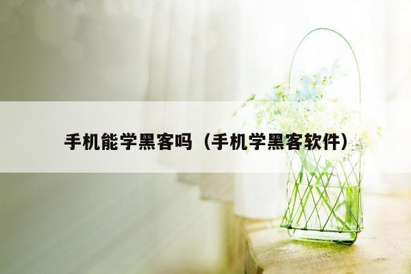 手机能学黑客吗（手机学黑客软件）