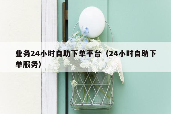 业务24小时自助下单平台（24小时自助下单服务）