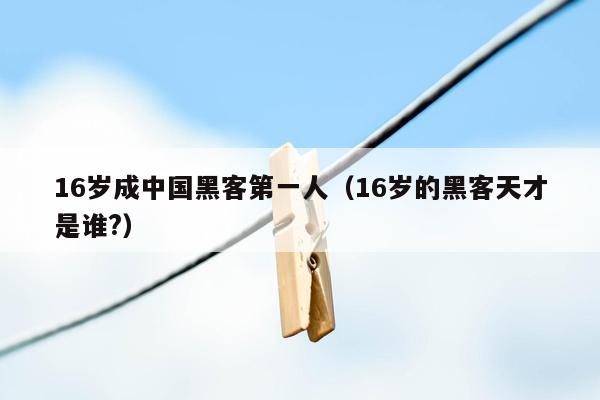 16岁成中国黑客第一人（16岁的黑客天才是谁?）