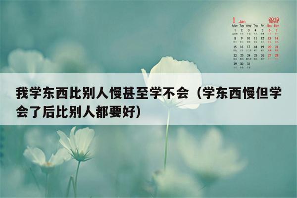 我学东西比别人慢甚至学不会（学东西慢但学会了后比别人都要好）