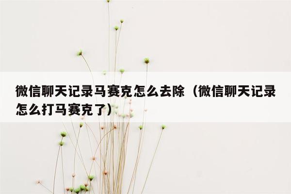 微信聊天记录马赛克怎么去除（微信聊天记录怎么打马赛克了）