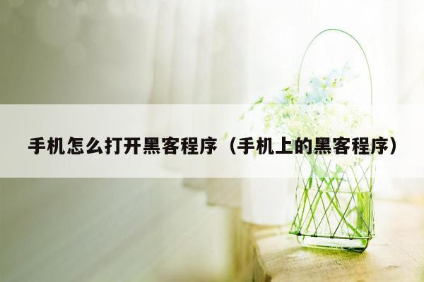 手机怎么打开黑客程序（手机上的黑客程序）