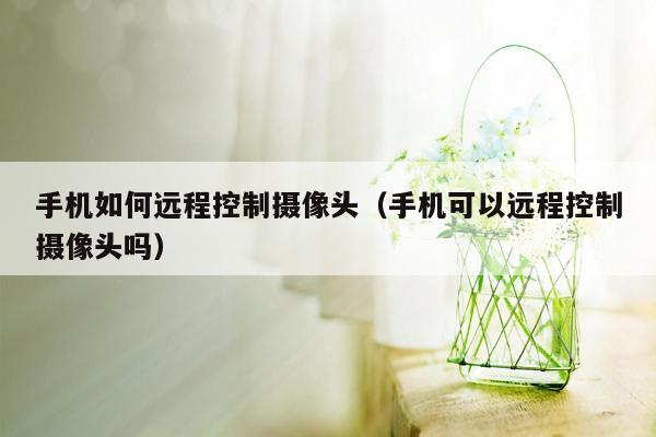 手机如何远程控制摄像头（手机可以远程控制摄像头吗）