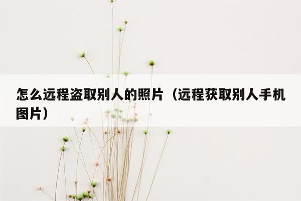 怎么远程盗取别人的照片（远程获取别人手机图片）