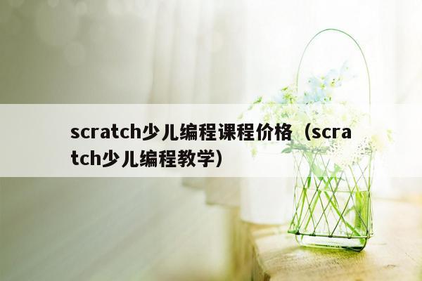 scratch少儿编程课程价格（scratch少儿编程教学）