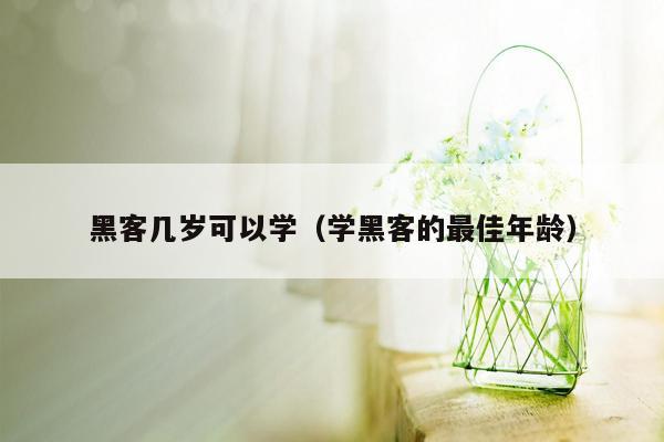 黑客几岁可以学（学黑客的最佳年龄）