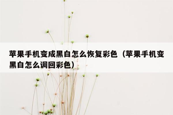 苹果手机变成黑白怎么恢复彩色（苹果手机变黑白怎么调回彩色）