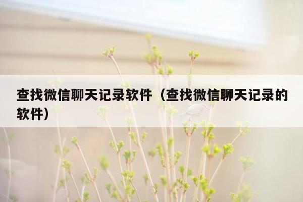 查找微信聊天记录软件（查找微信聊天记录的软件）