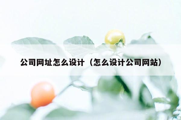 公司网址怎么设计（怎么设计公司网站）