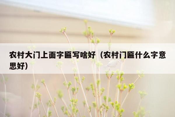 农村大门上面字匾写啥好（农村门匾什么字意思好）