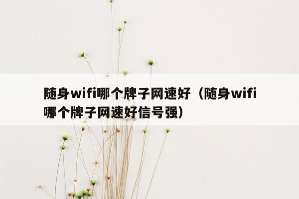 随身wifi哪个牌子网速好（随身wifi哪个牌子网速好信号强）