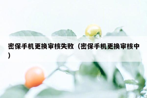 密保手机更换审核失败（密保手机更换审核中）