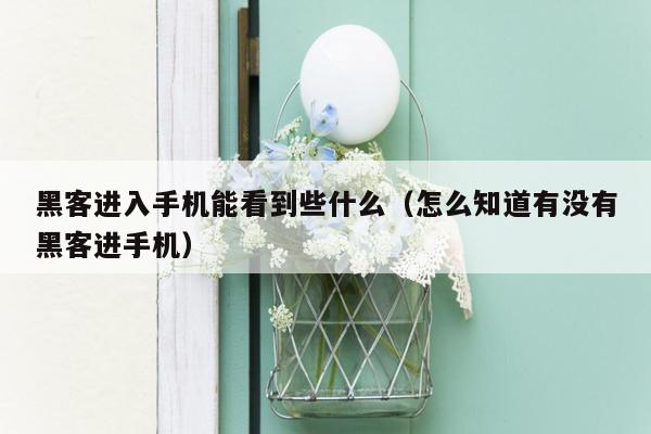 黑客进入手机能看到些什么（怎么知道有没有黑客进手机）