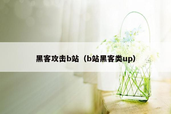 黑客攻击b站（b站黑客类up）