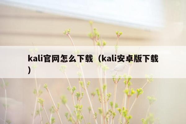 kali官网怎么下载（kali安卓版下载）