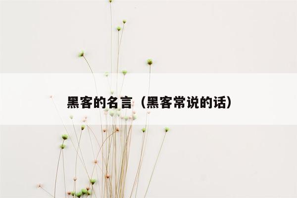 黑客的名言（黑客常说的话）