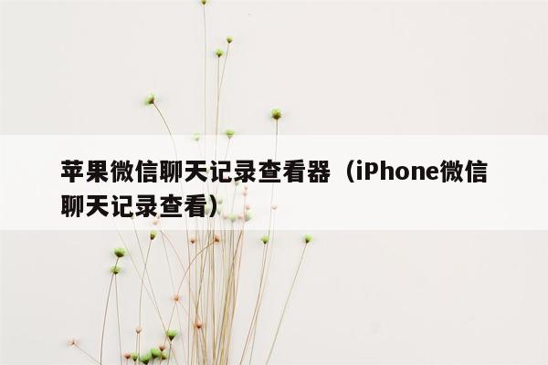 苹果微信聊天记录查看器（iPhone微信聊天记录查看）