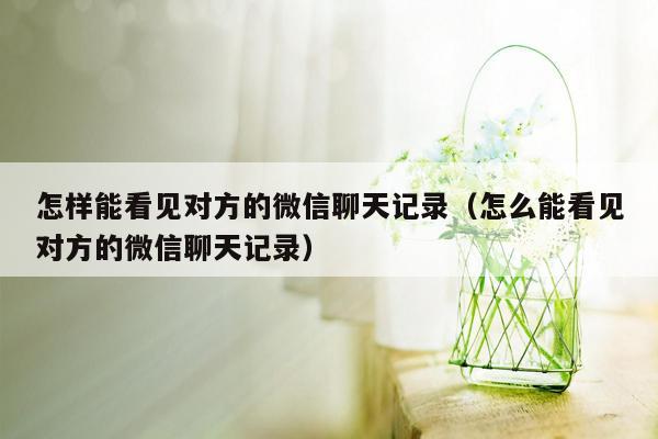 怎样能看见对方的微信聊天记录（怎么能看见对方的微信聊天记录）