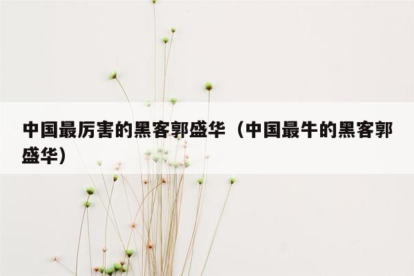 中国最厉害的黑客郭盛华（中国最牛的黑客郭盛华）