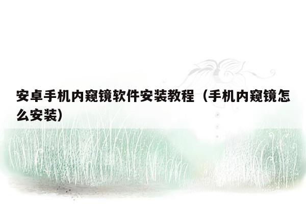 安卓手机内窥镜软件安装教程（手机内窥镜怎么安装）