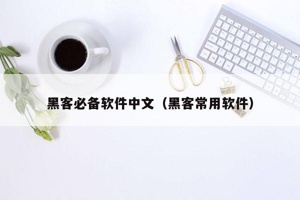 黑客必备软件中文（黑客常用软件）