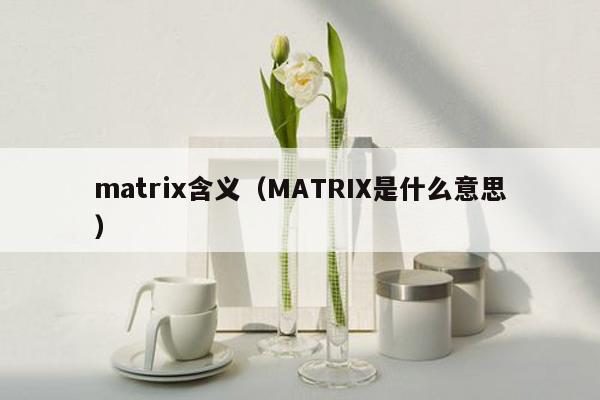 matrix含义（MATRIX是什么意思）