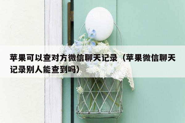 苹果可以查对方微信聊天记录（苹果微信聊天记录别人能查到吗）