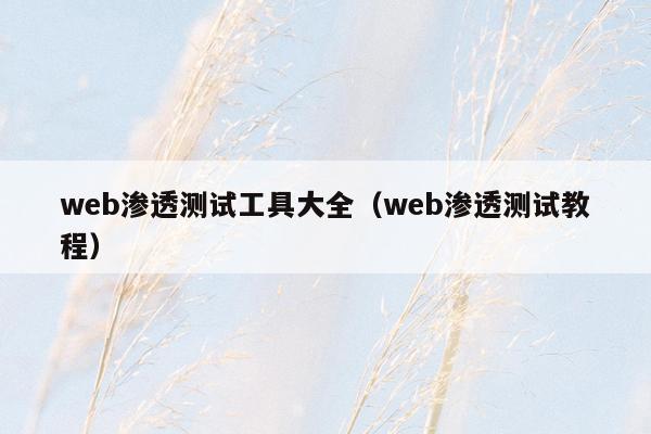 web渗透测试工具大全（web渗透测试教程）