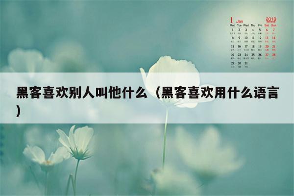 黑客喜欢别人叫他什么（黑客喜欢用什么语言）