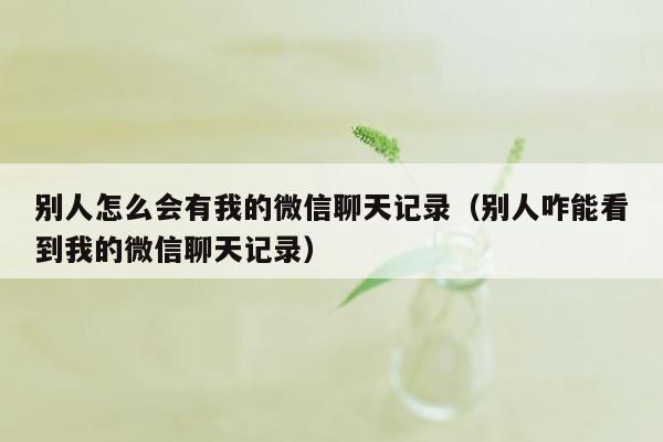 别人怎么会有我的微信聊天记录（别人咋能看到我的微信聊天记录）