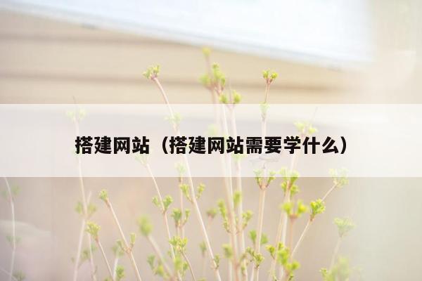 搭建网站（搭建网站需要学什么）