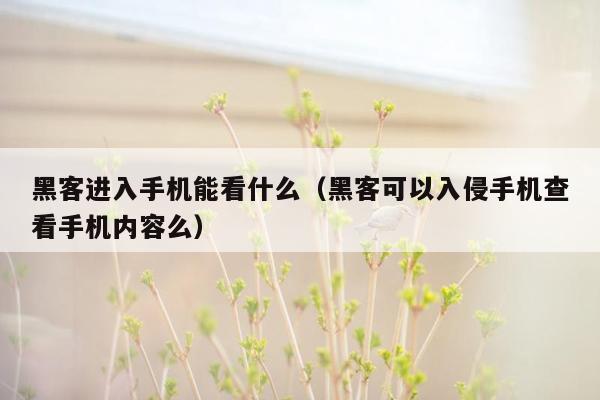 黑客进入手机能看什么（黑客可以入侵手机查看手机内容么）