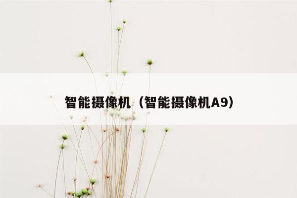 智能摄像机（智能摄像机A9）