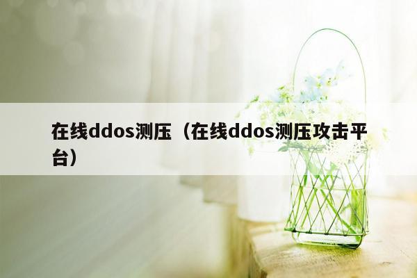 在线ddos测压（在线ddos测压攻击平台）