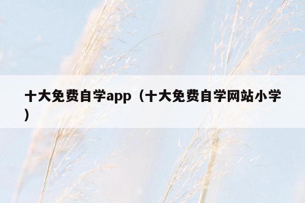 十大免费自学app（十大免费自学网站小学）